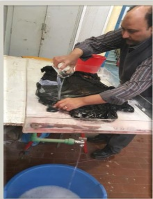 نماذج من ترميم الأزياء التاريخية المعاصرة في متحف بيت الأمه بالقاهرة — فستان صفية زغلول — 1